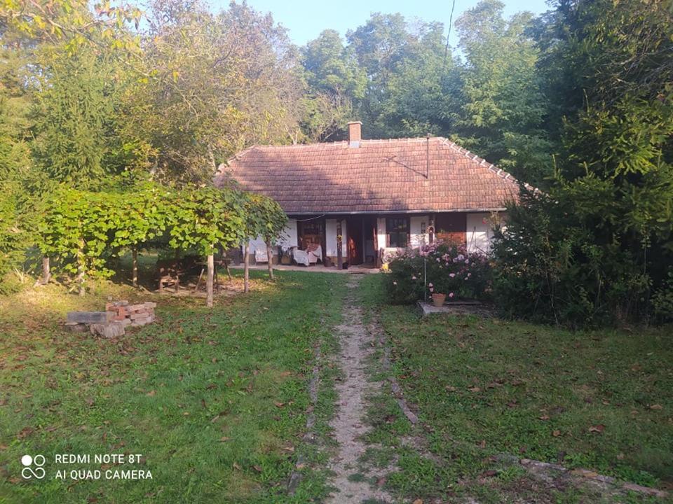 Fecskefeszek Vendeghaz Oriszentpeter Hotel Bagian luar foto