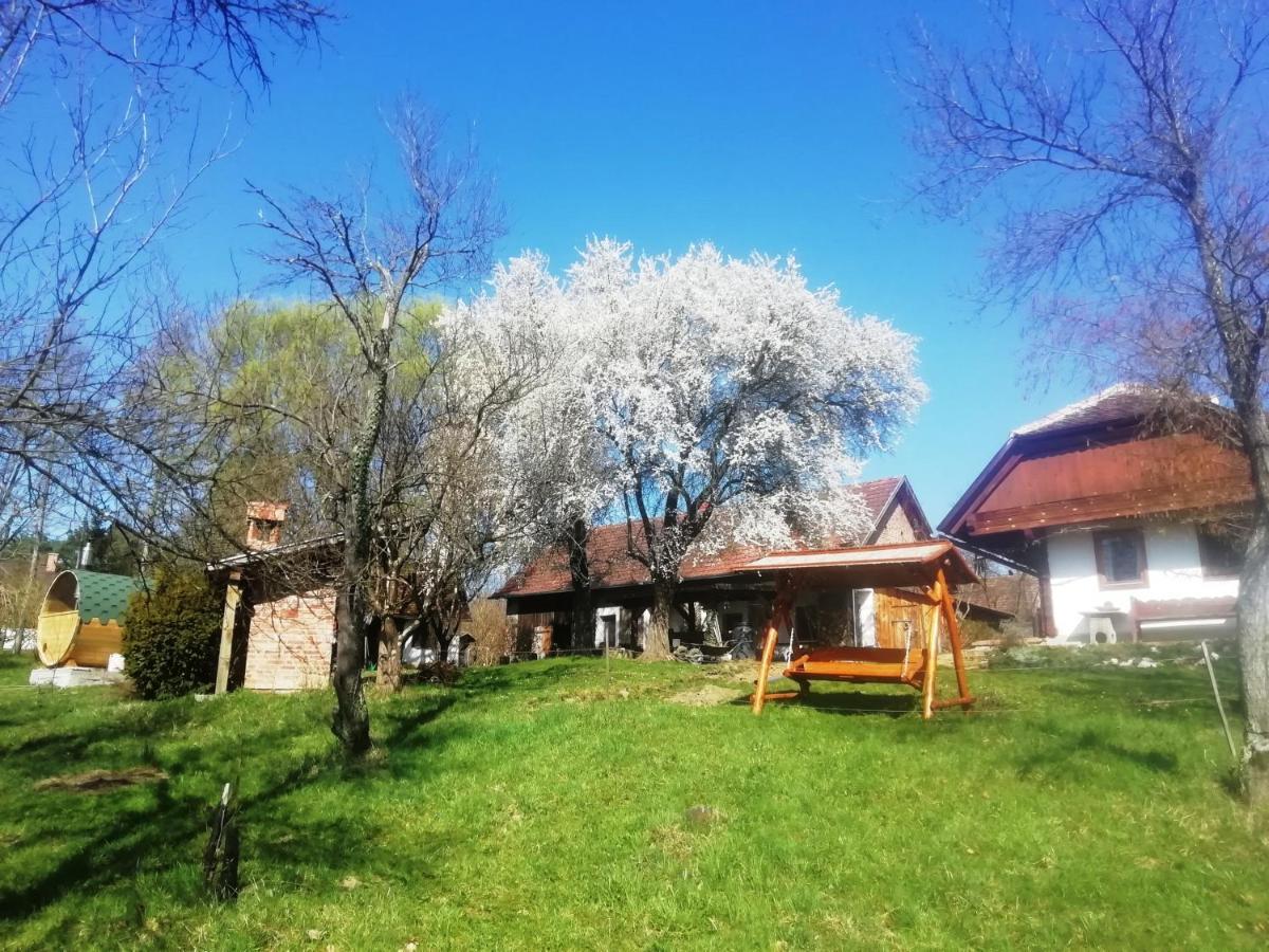 Fecskefeszek Vendeghaz Oriszentpeter Hotel Bagian luar foto