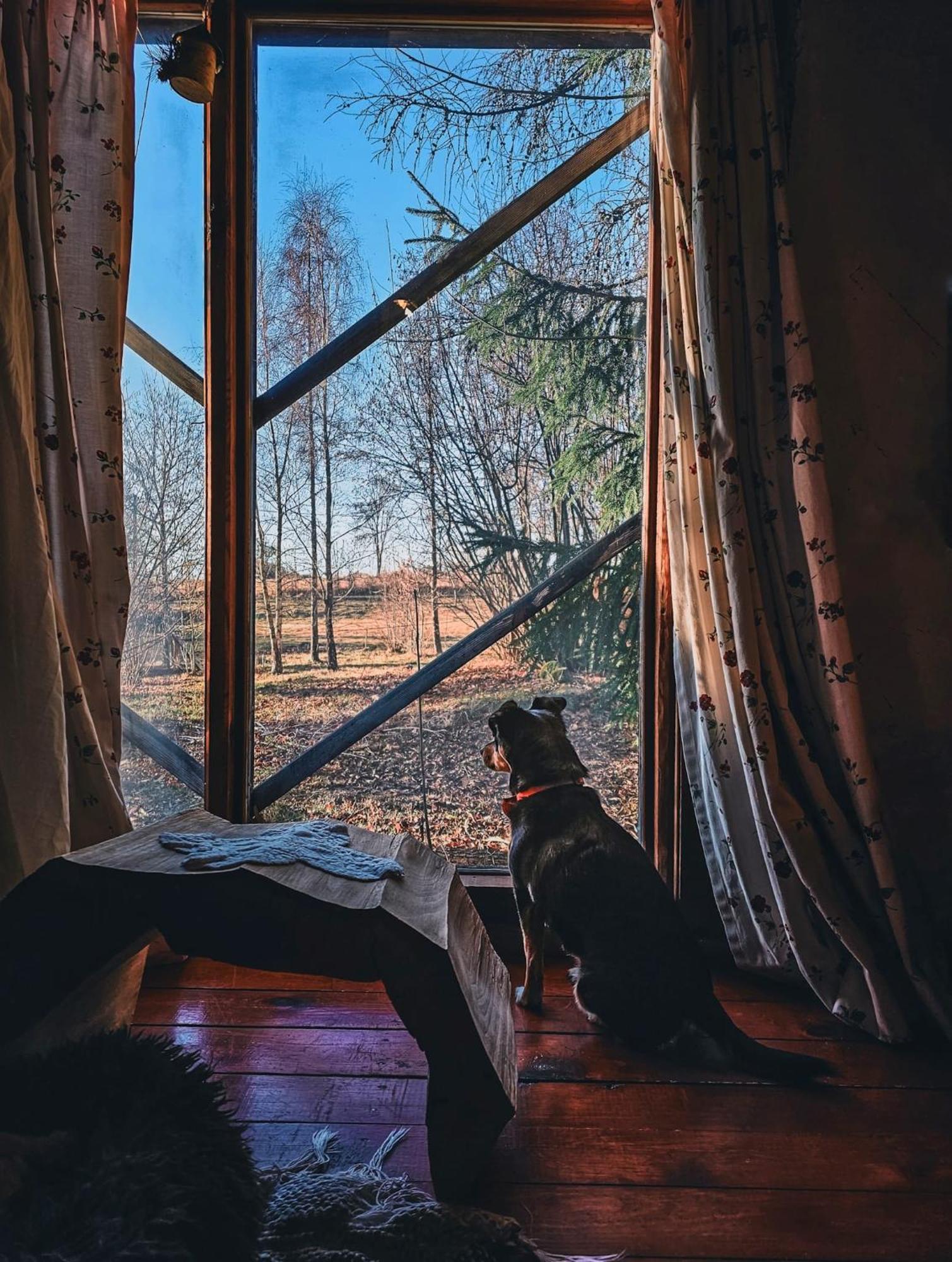 Fecskefeszek Vendeghaz Oriszentpeter Hotel Bagian luar foto