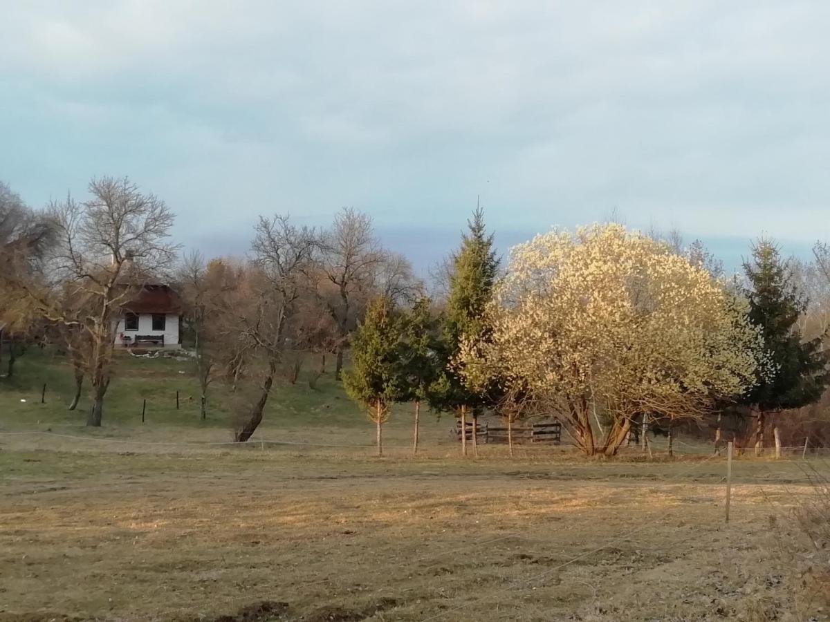Fecskefeszek Vendeghaz Oriszentpeter Hotel Bagian luar foto