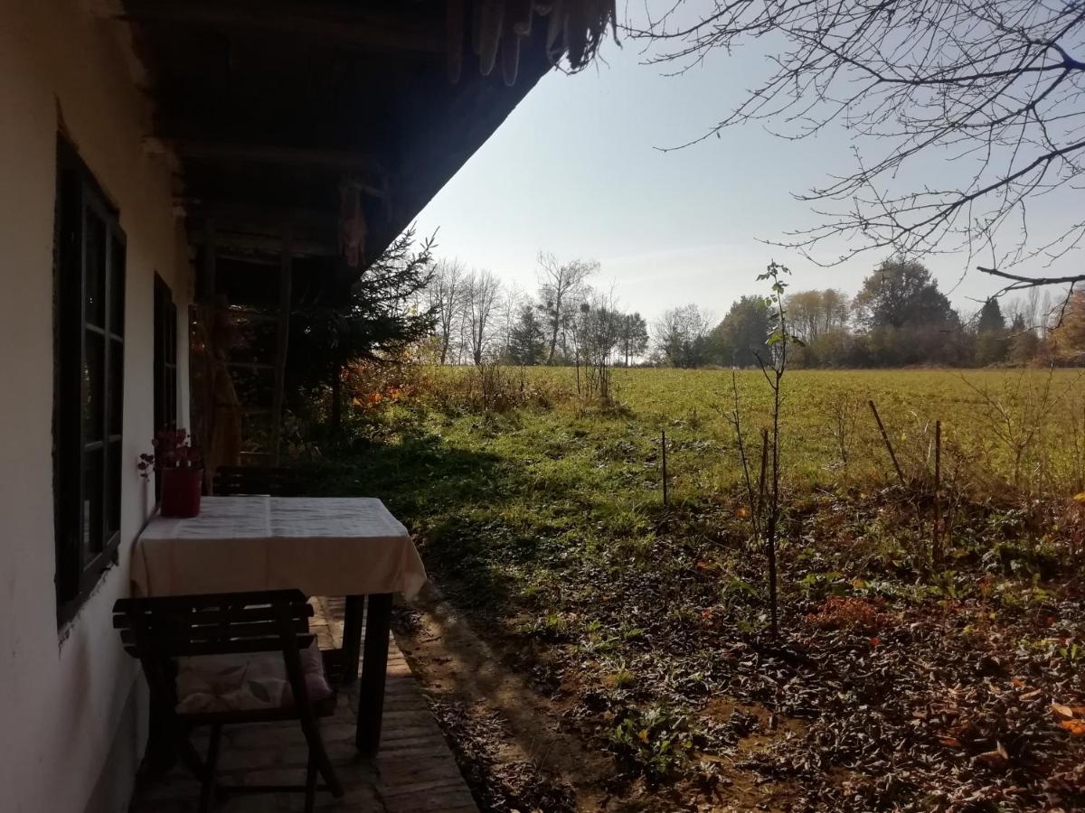Fecskefeszek Vendeghaz Oriszentpeter Hotel Bagian luar foto