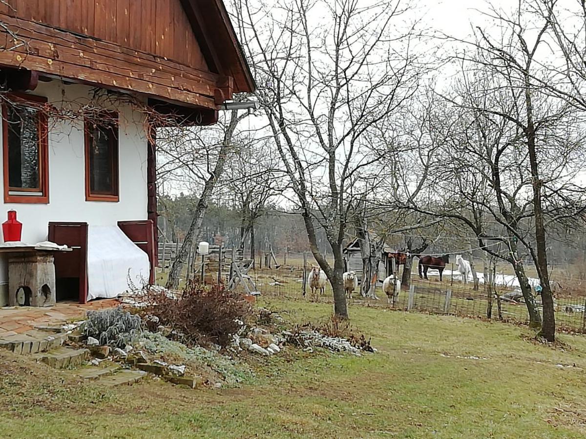 Fecskefeszek Vendeghaz Oriszentpeter Hotel Bagian luar foto